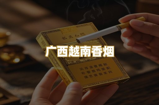 广西越南香烟